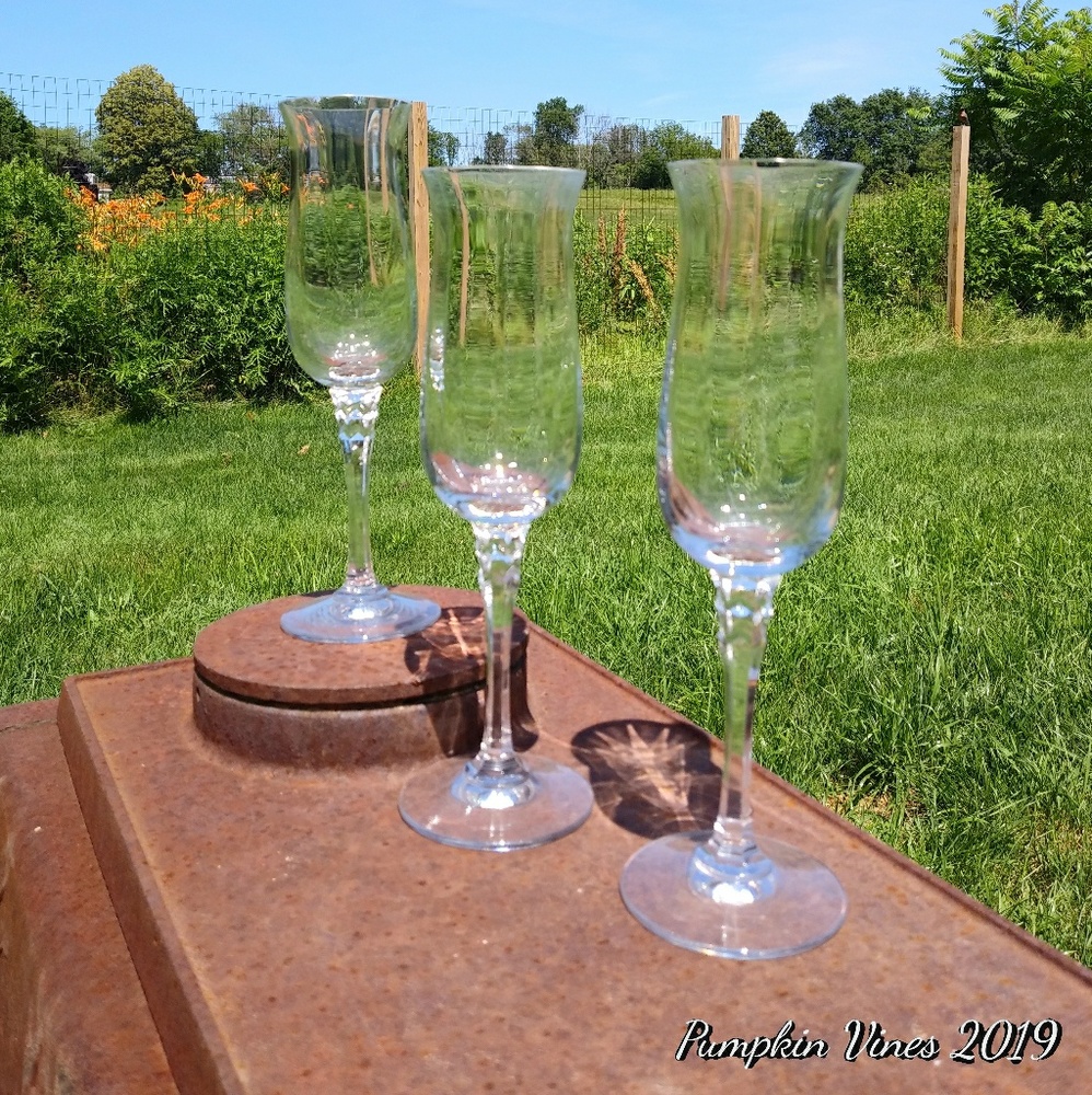 Flutes with Flaired Lip